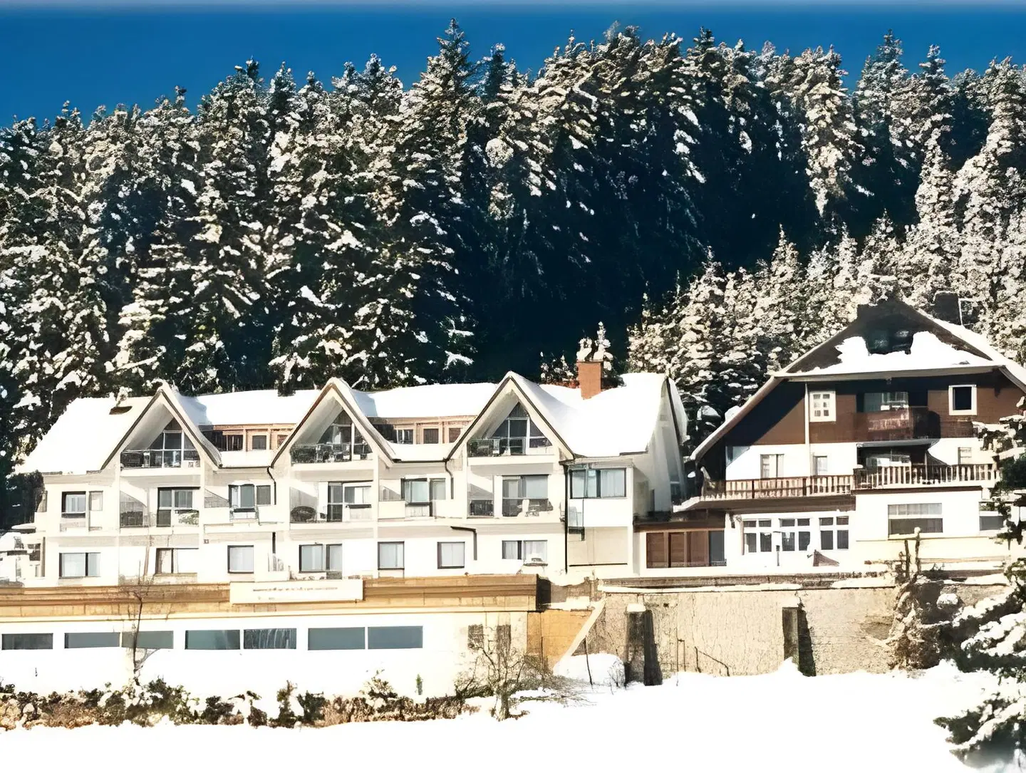 JUFA Hotel Schwarzwald EXTERIOR