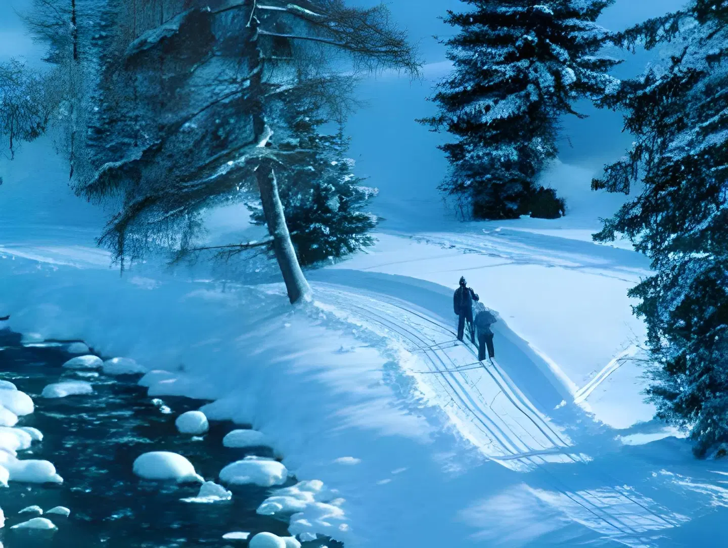 Hotel Garni Alpenhof LANDSCAPE