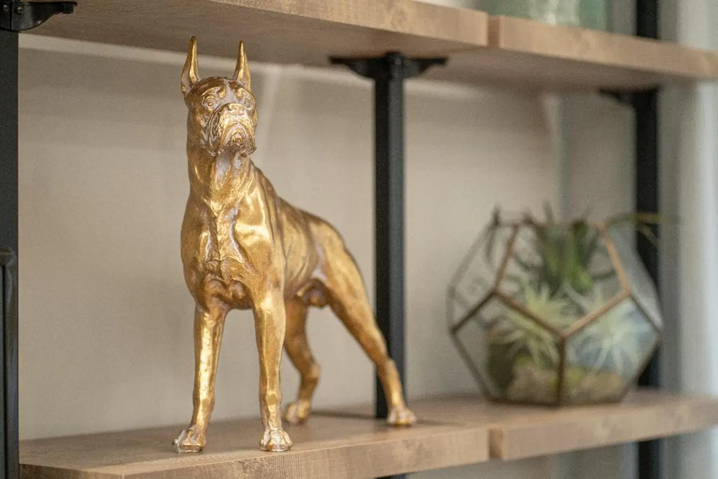 Club Meeting Hotel ANIMAL