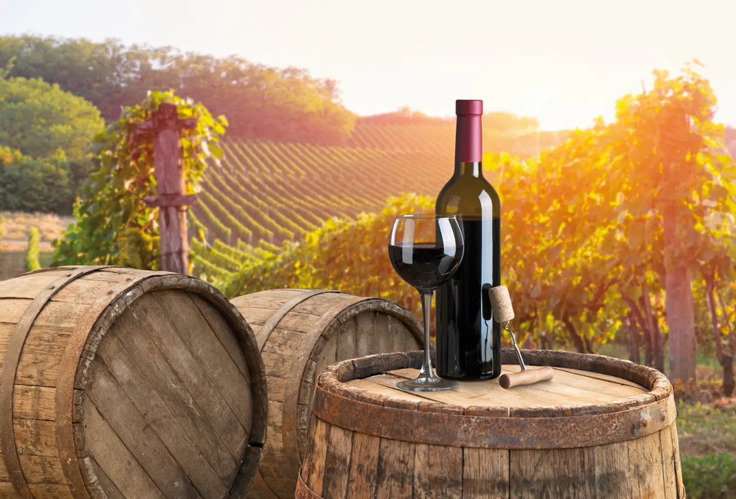 Autotour von Kultur zum Genuss in der Toskana Terrasse