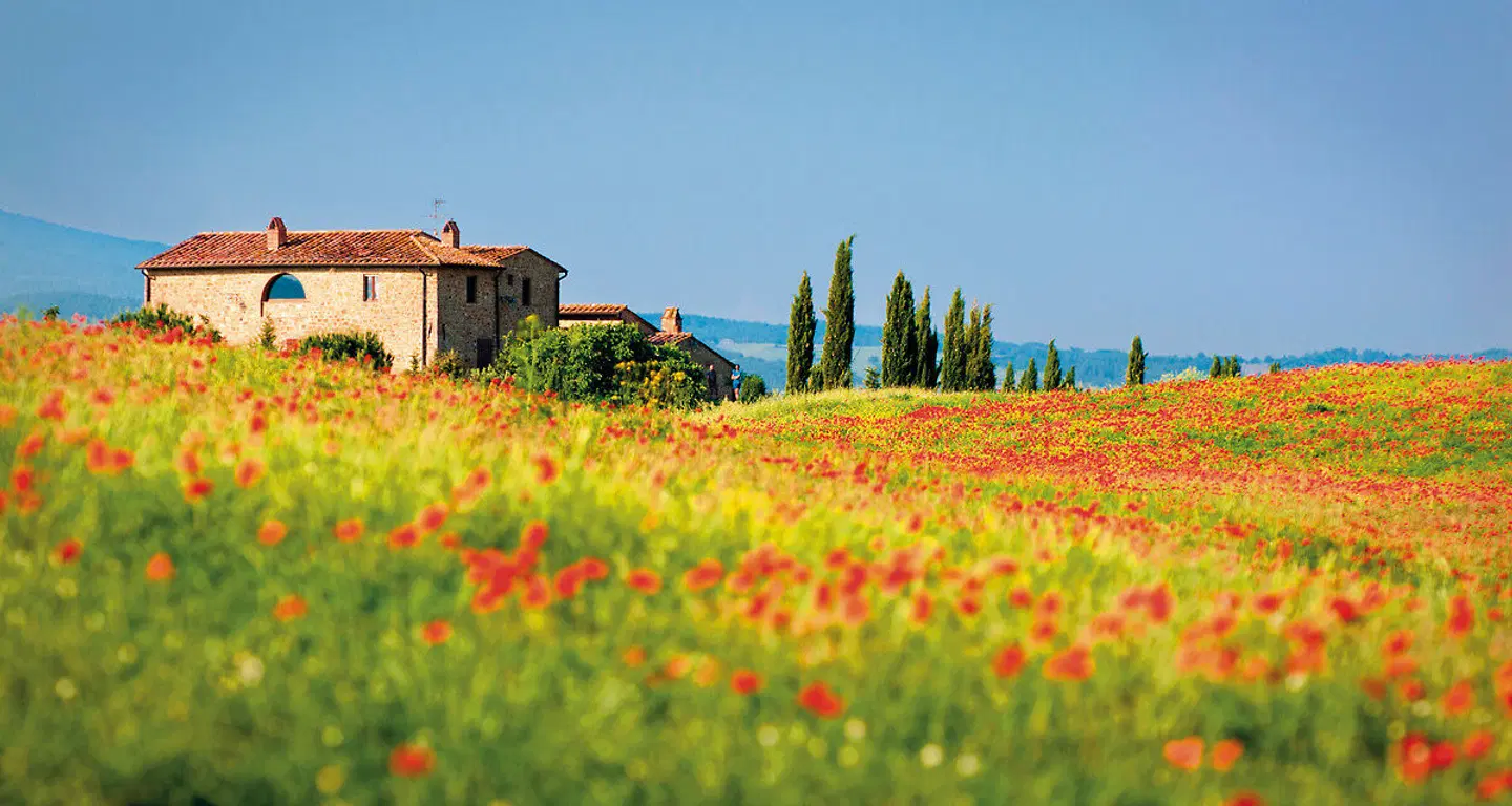 Autotour von Kultur zum Genuss in der Toskana LANDSCAPE