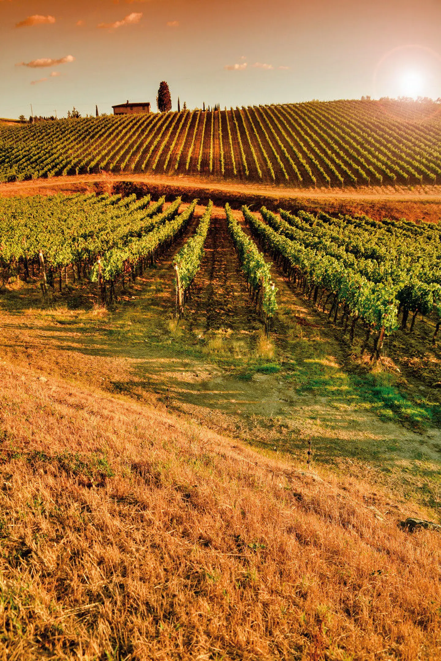 Autotour von Kultur zum Genuss in der Toskana LANDSCAPE