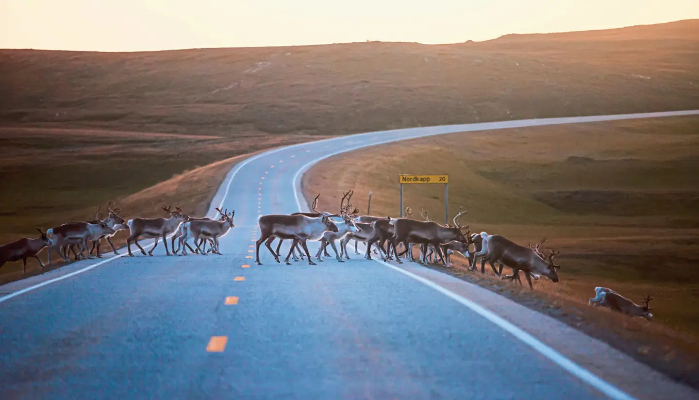 Norwegen Kaleidoskop - von Oslo zum Nordkap OUTDOOR_POOL