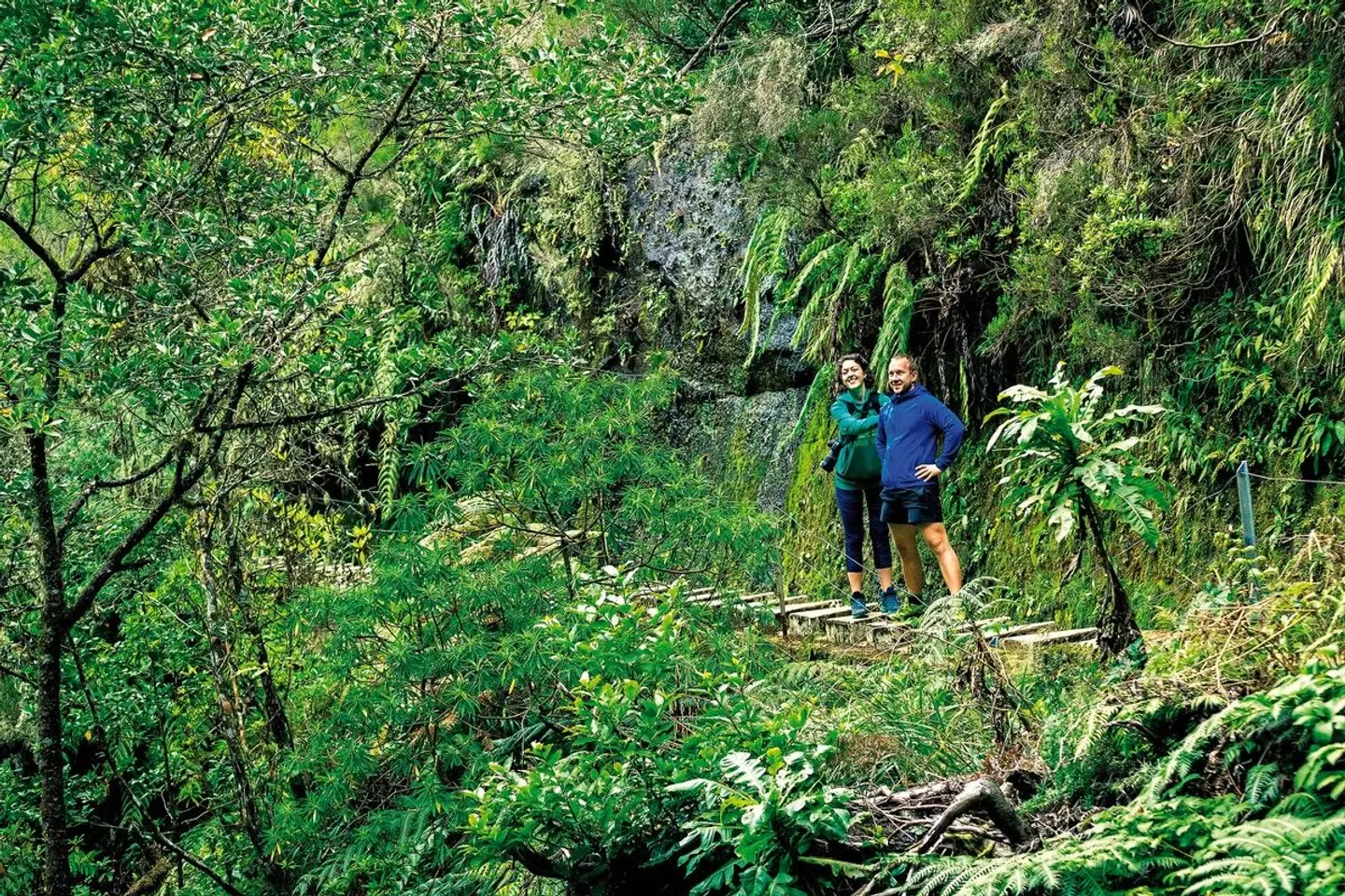 Madeiras Highlights erwandern LANDSCAPE