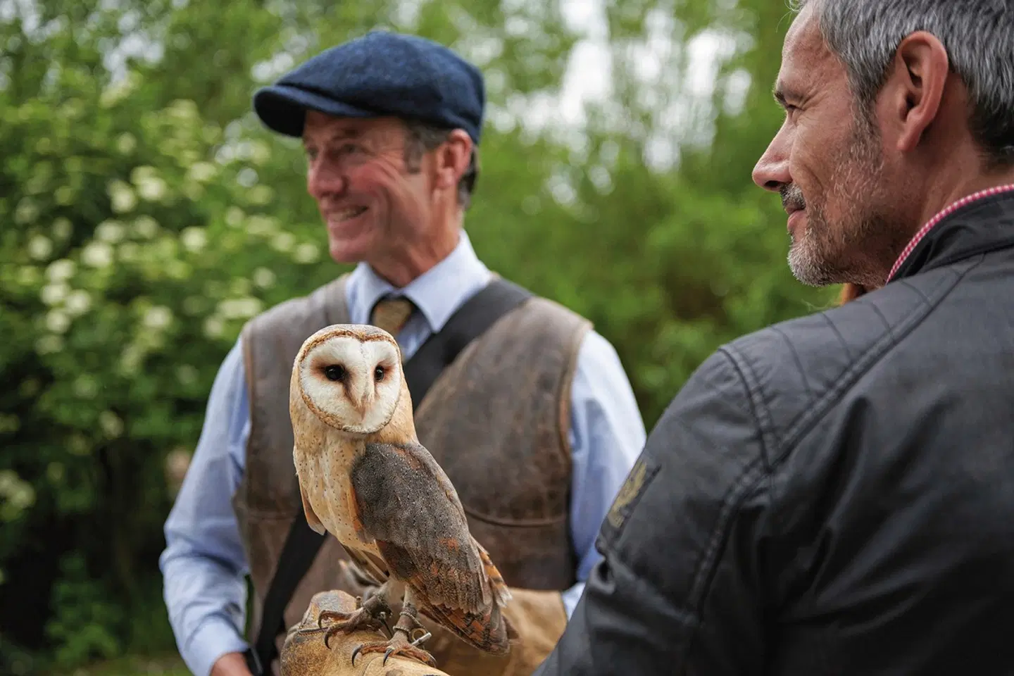 Dromoland Castle Tiere
