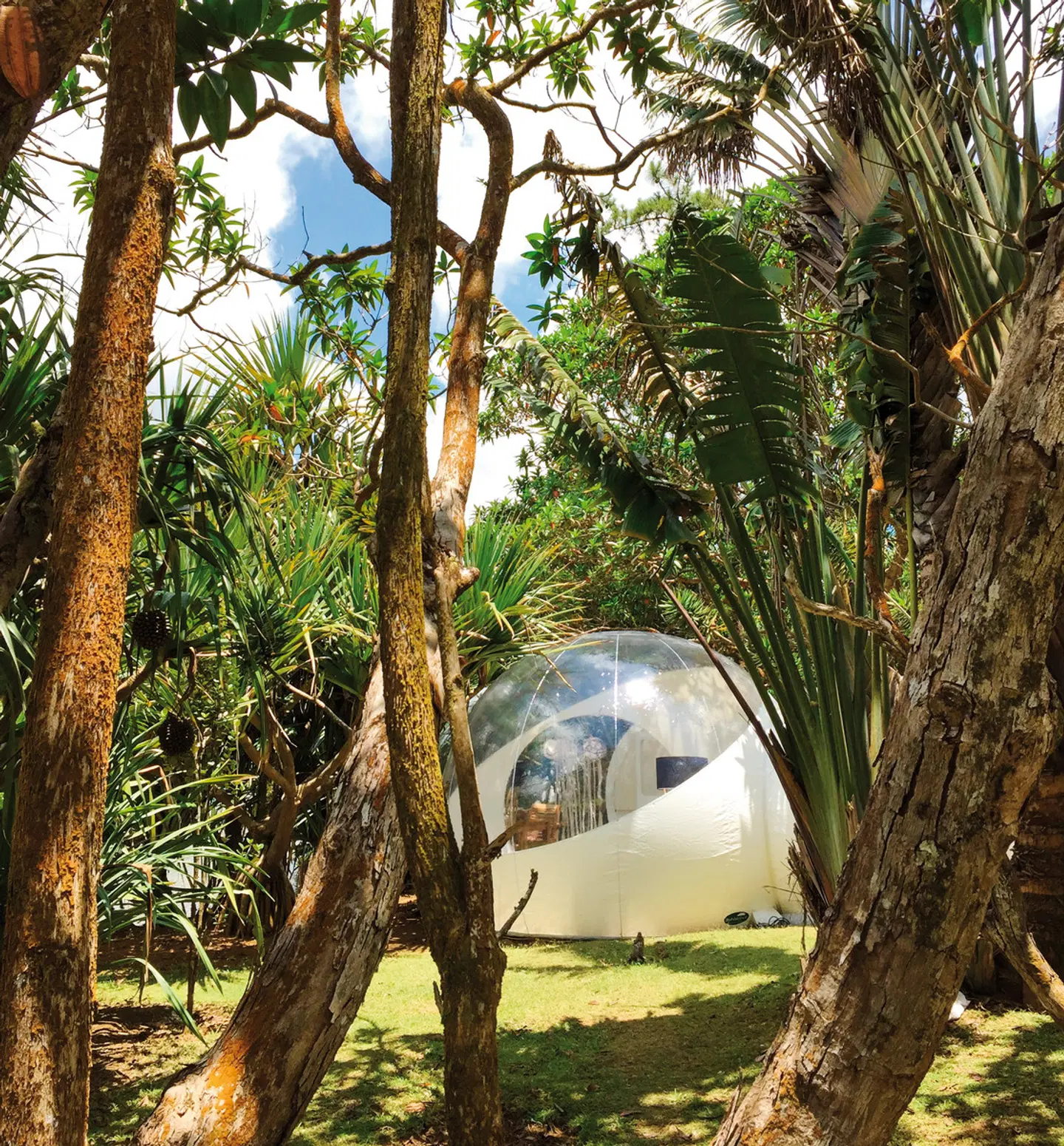 Bubble Lodge Bois Chéri Tiere