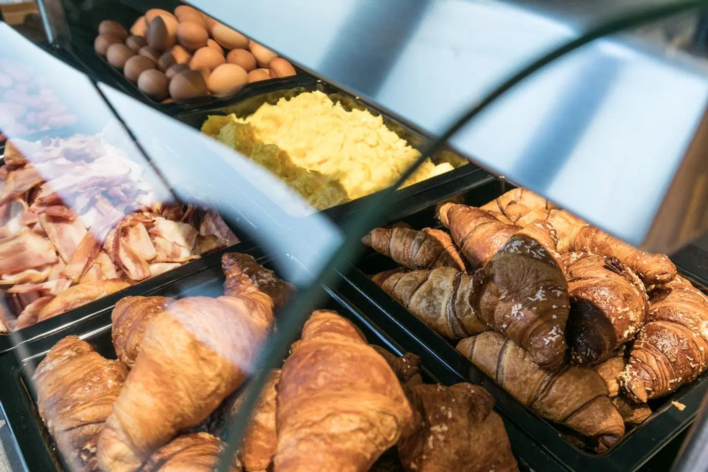 J24 Hotel Milano Tiere