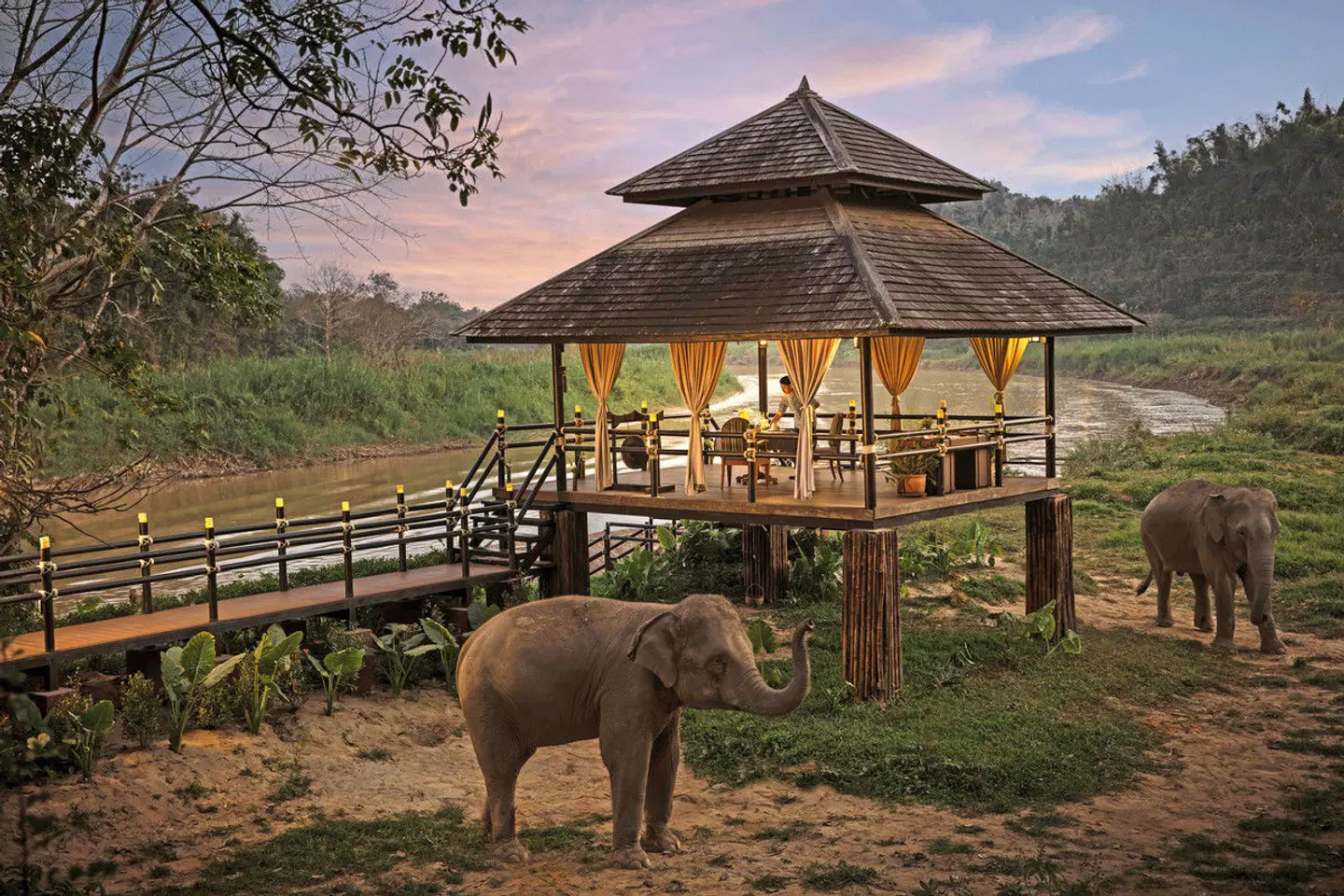 Highlights Nordthailands (Superior-Variante) Tiere