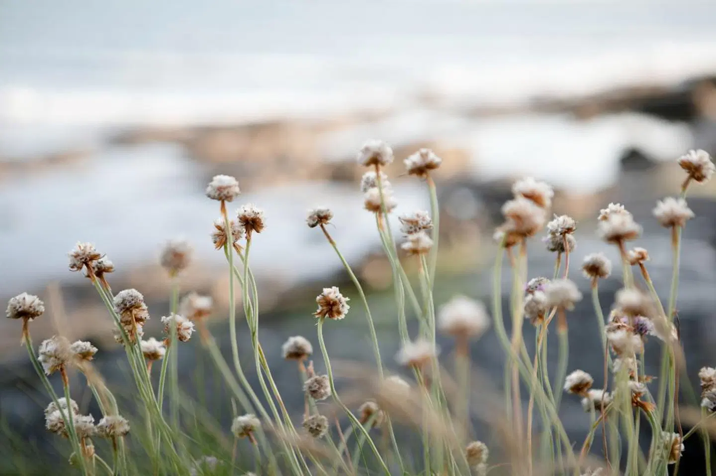 Armada Hotel LANDSCAPE