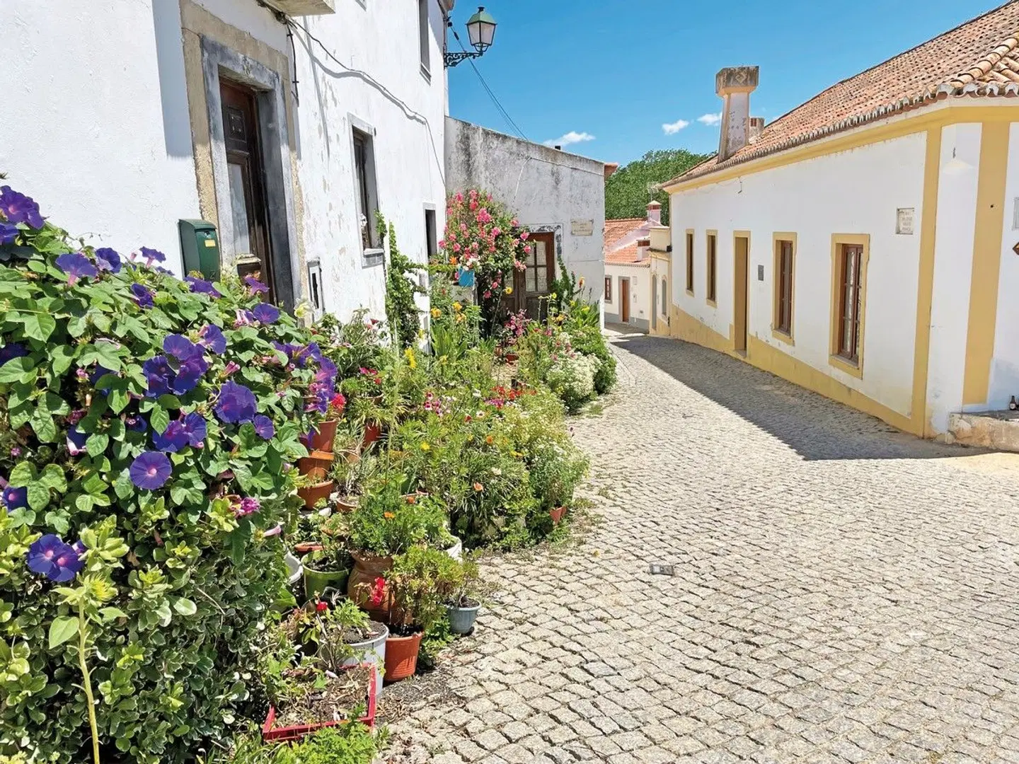 Rota Vicentina EXTERIOR