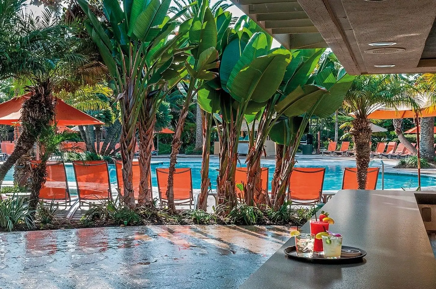 Paradise Point Resort & Spa Terrasse