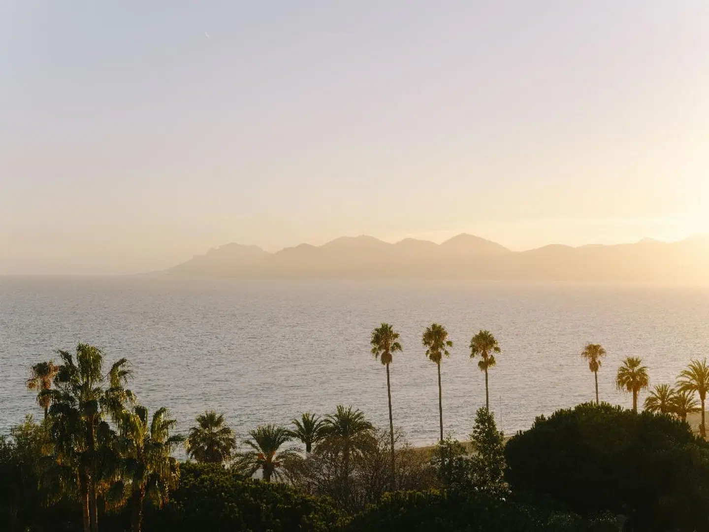 Belle Plage LANDSCAPE
