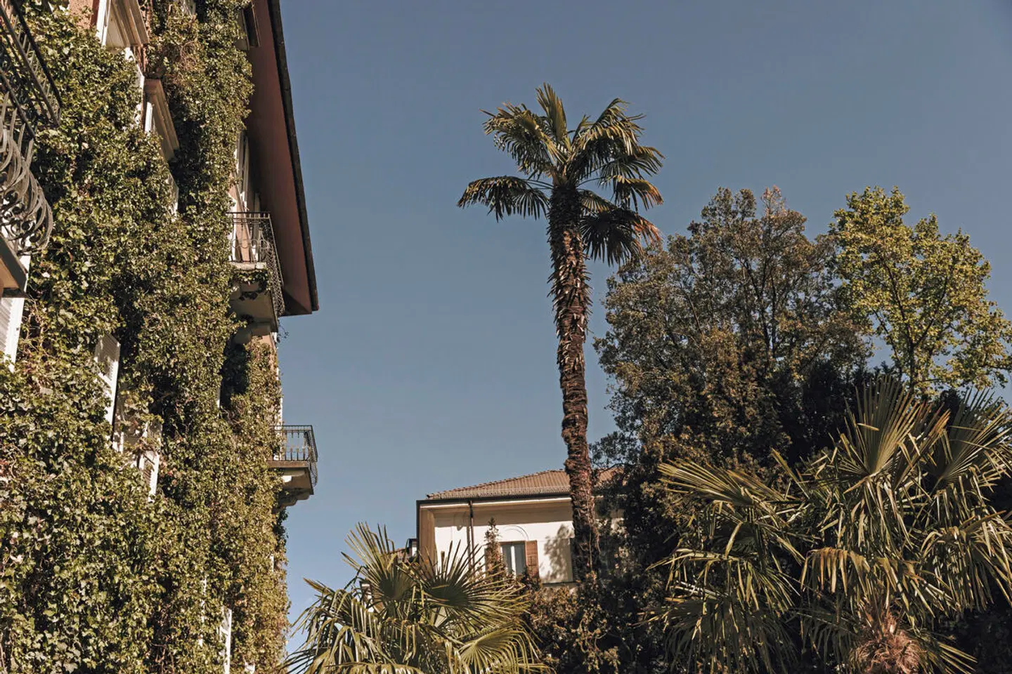 Parkhotel Mondschein Garten