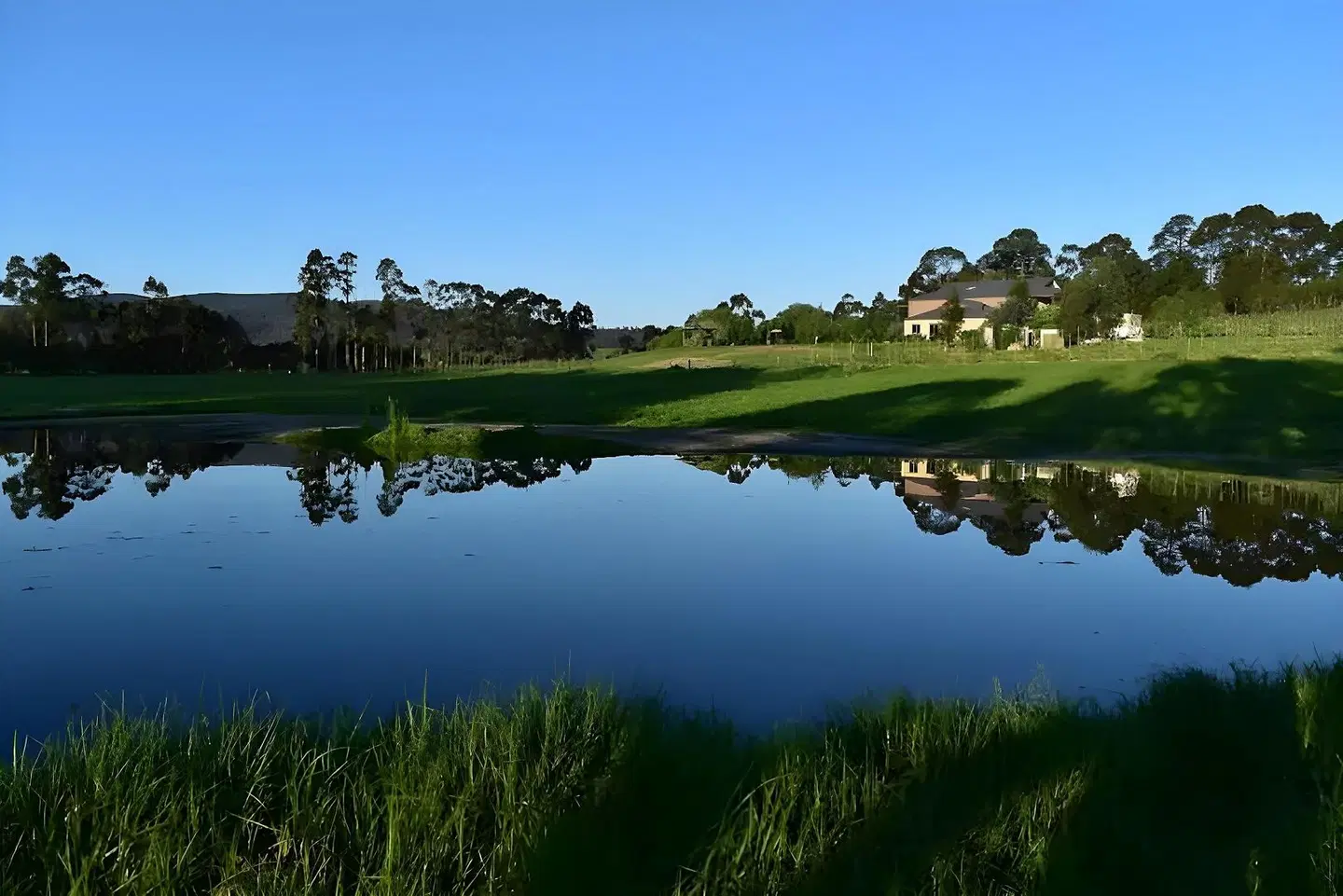 Gypsy Creek Winery LANDSCAPE