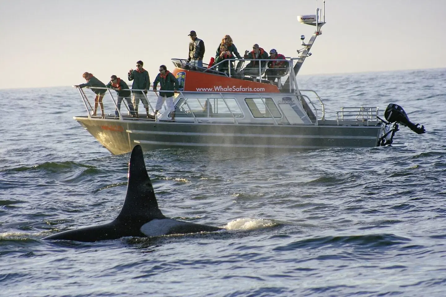 Schatzinsel Vancouver Island SPORTS_AND_LEISURE