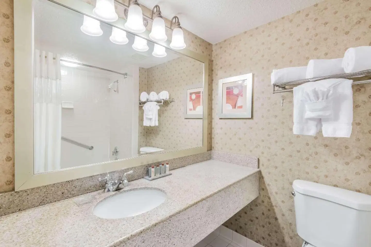 Wingate by Wyndham DFW / North Irving Badezimmer