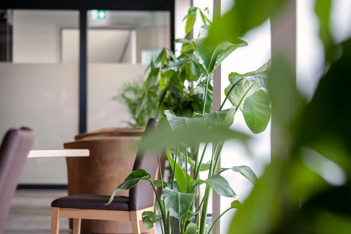 Brera Serviced Apartments Stuttgart Garten