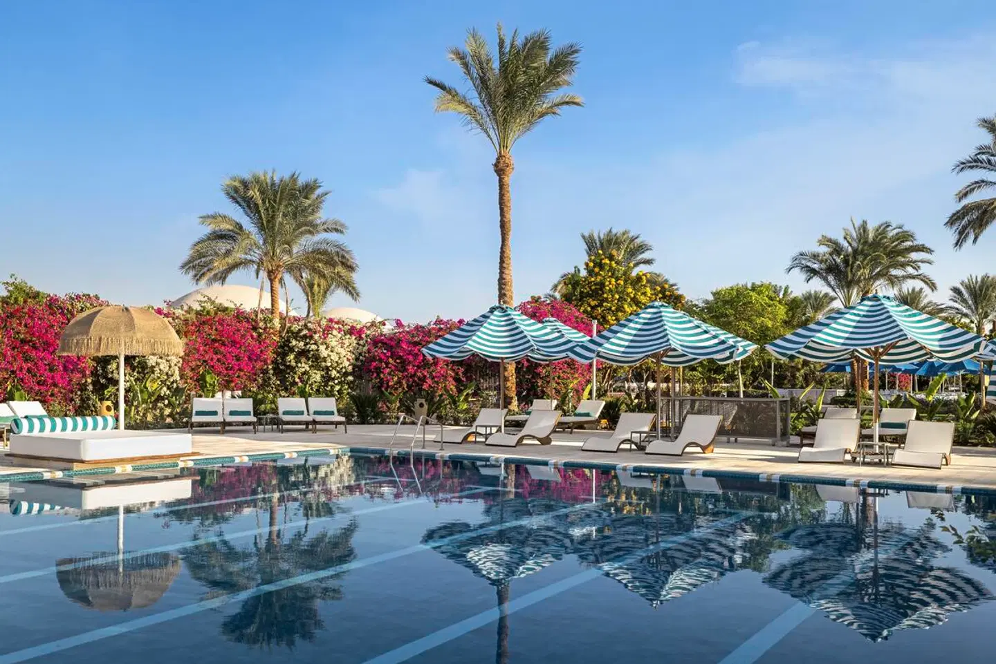 Desert Rose OUTDOOR_POOL