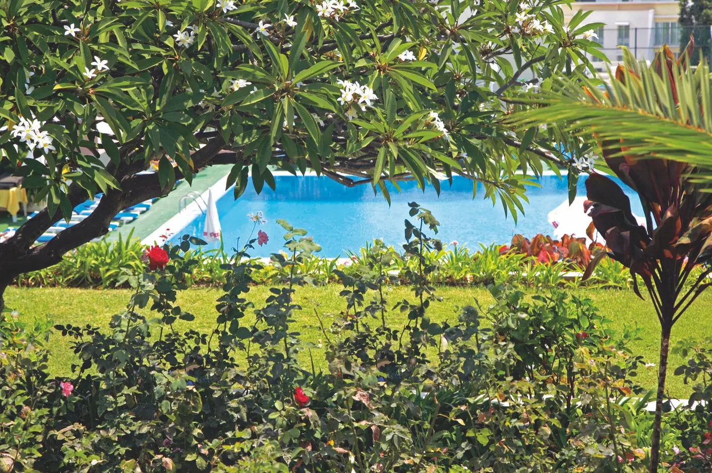 Dorisol Mimosa OUTDOOR_POOL