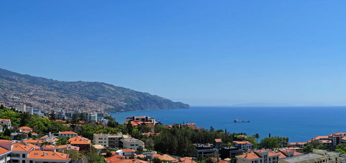 Dorisol Mimosa LANDSCAPE