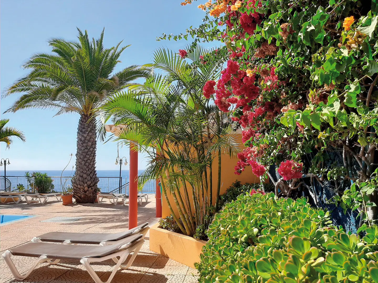 Cais da Oliveira Terrasse