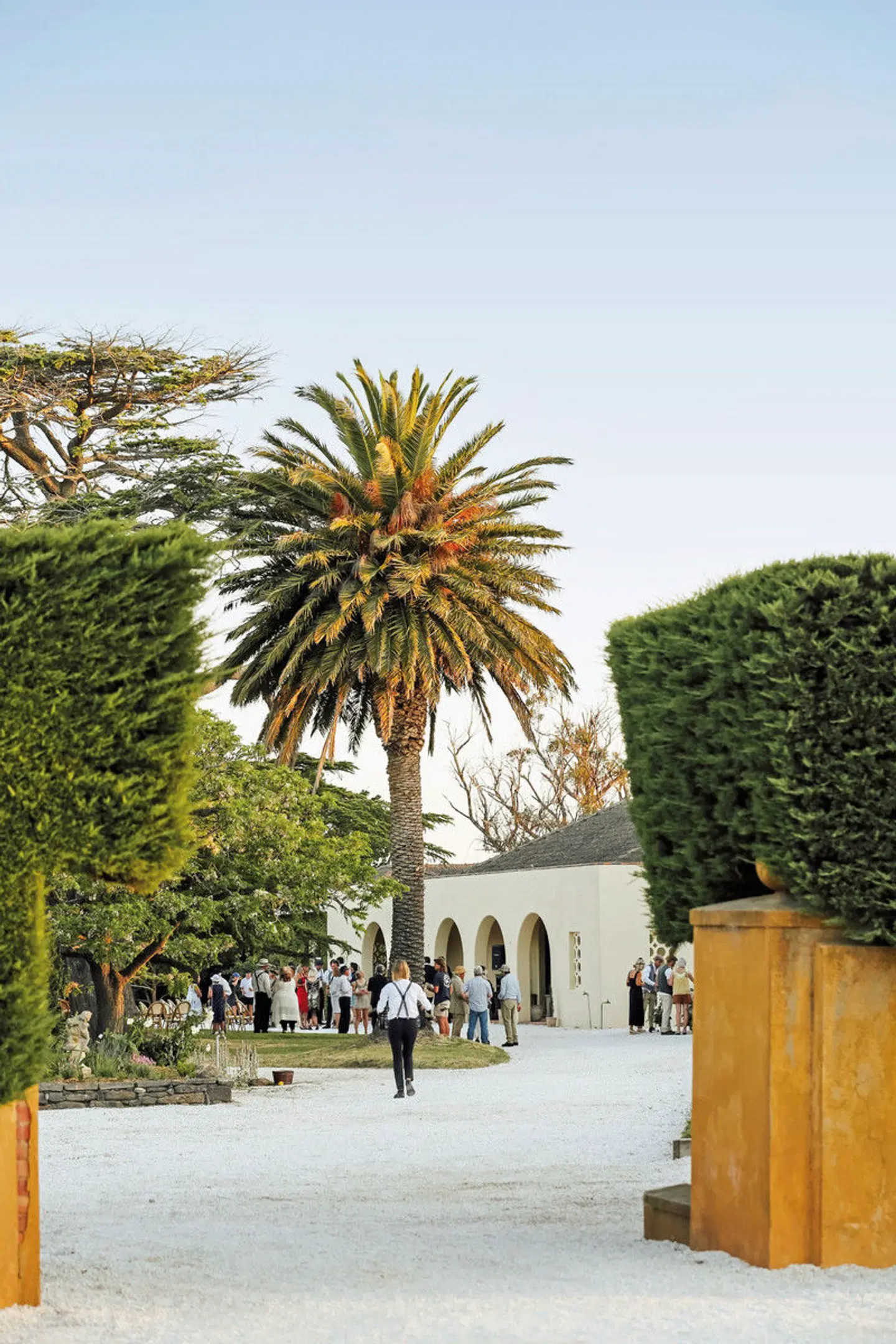 Mount William Station LANDSCAPE