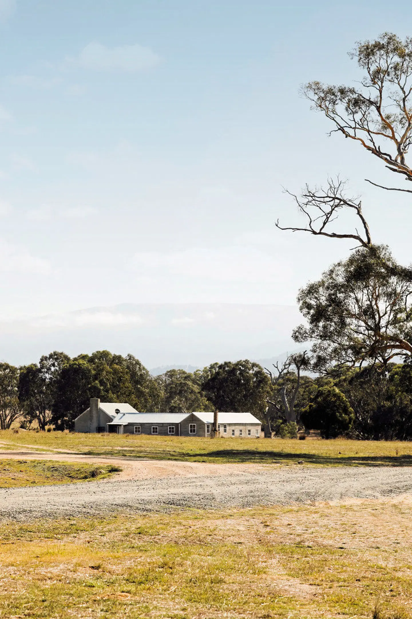 Mount William Station LANDSCAPE