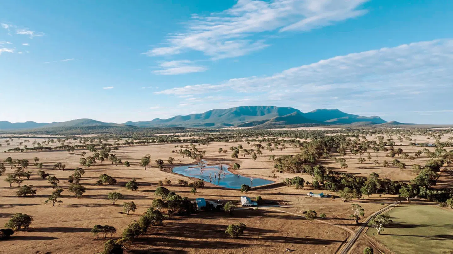 Mount William Station LANDSCAPE