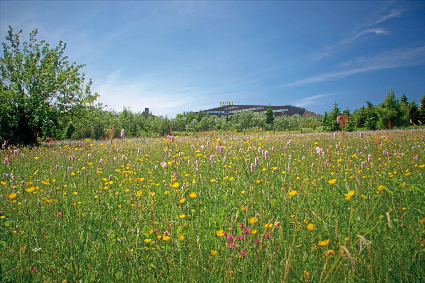 Hotel Lugsteinhof LANDSCAPE
