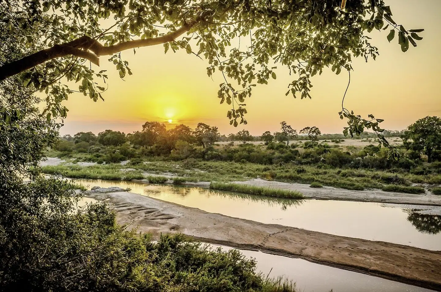 Singita Private Game Reserve LANDSCAPE