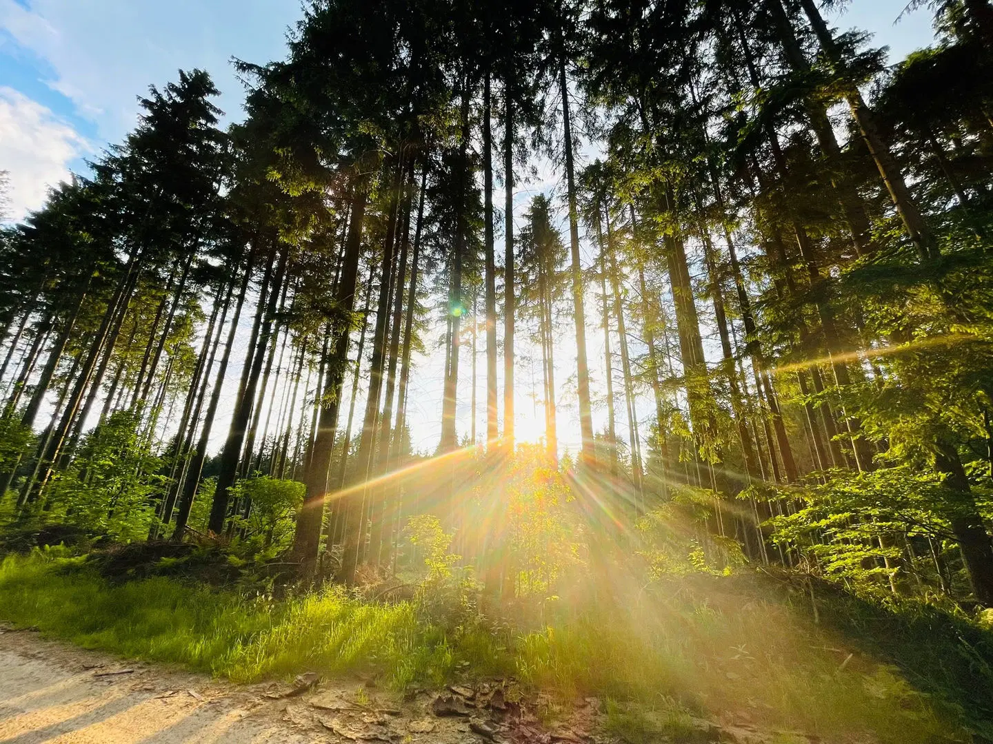 Landgasthof Hubertus Garten