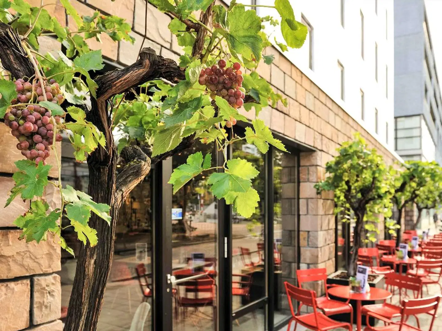 ibis Rotterdam City Centre Terrasse