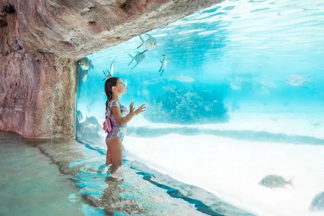 Grand Hyatt Baha Mar PEOPLE