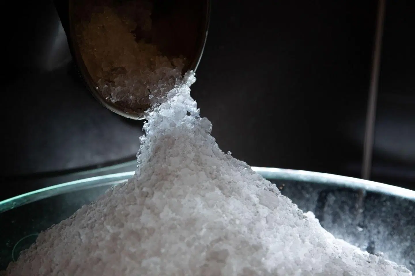 Alpenhotel Mittagspitze Tiere