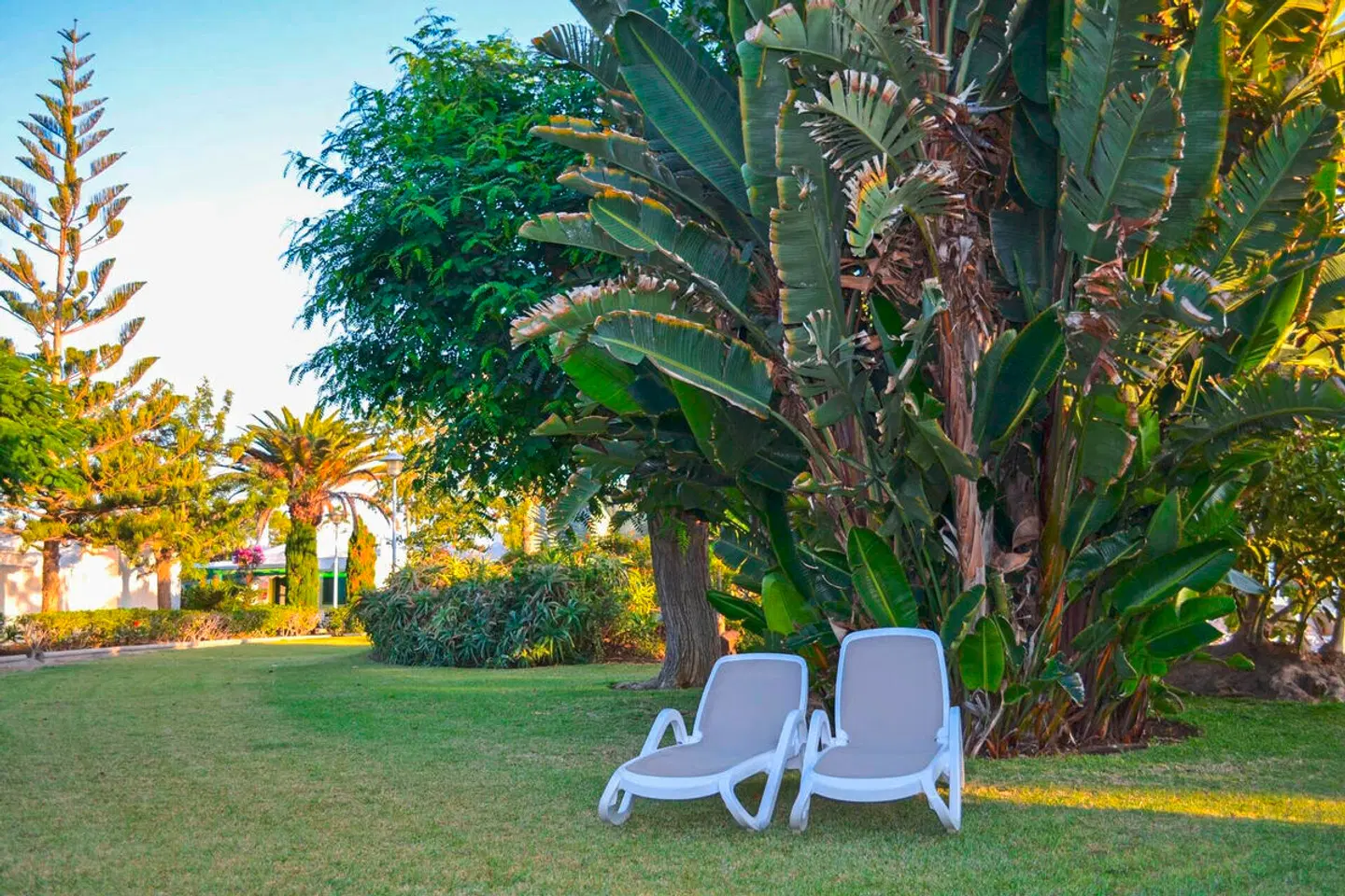 Cordial Sandy Golf Garten