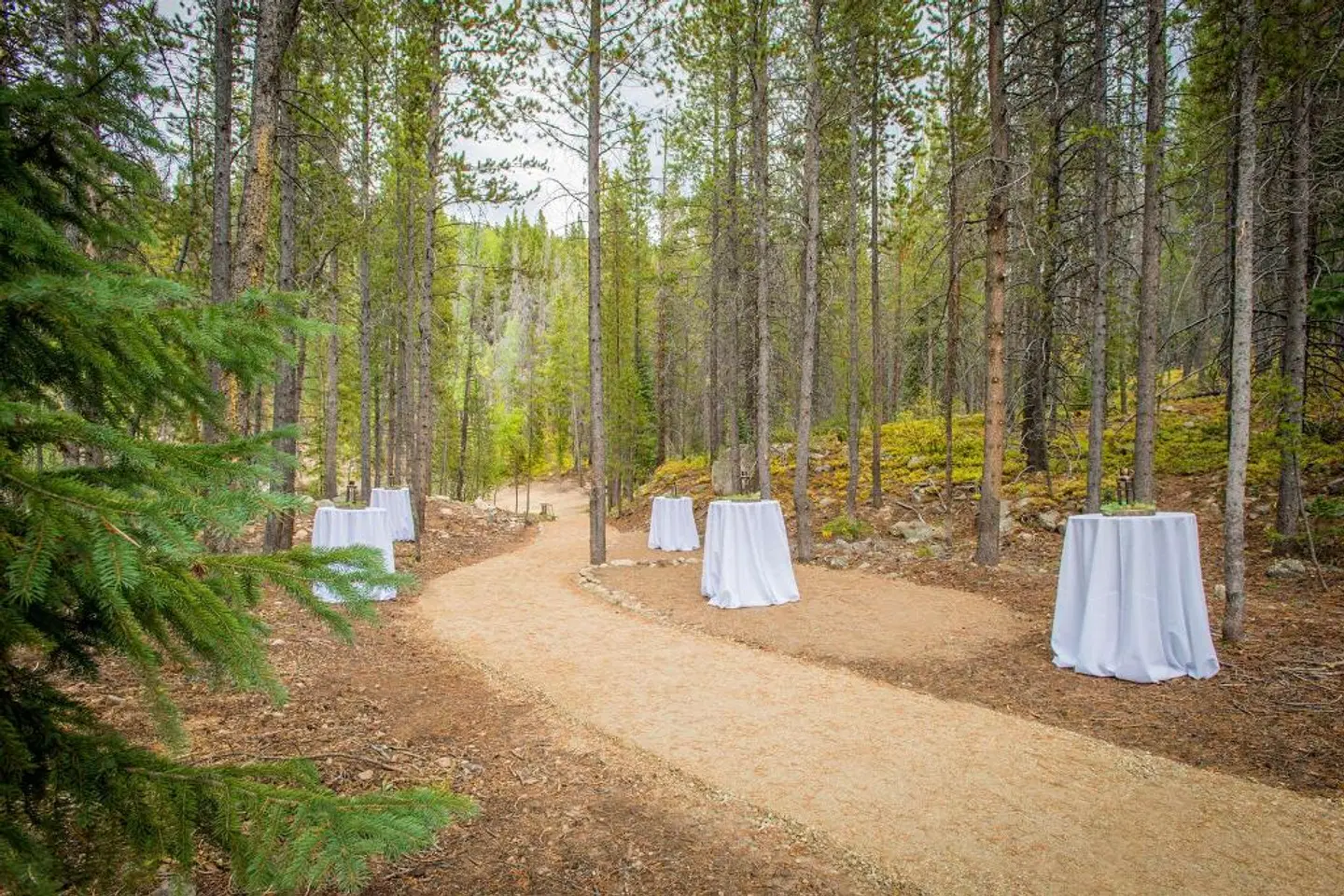 Winter Park Mountain Lodge Strand