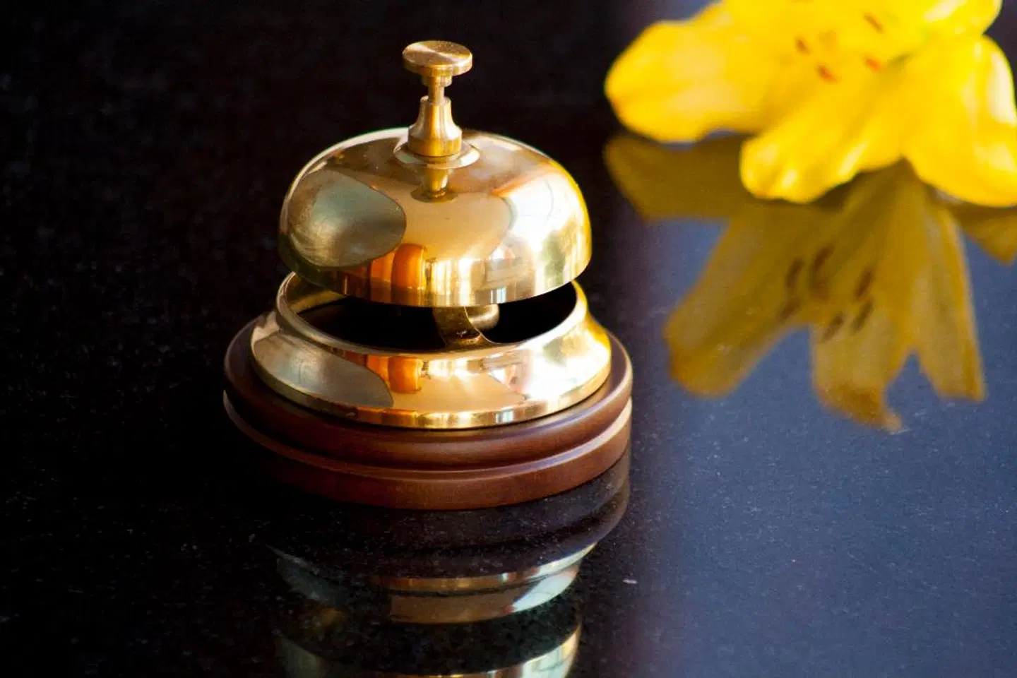 Girasol HEALTH_BEAUTY