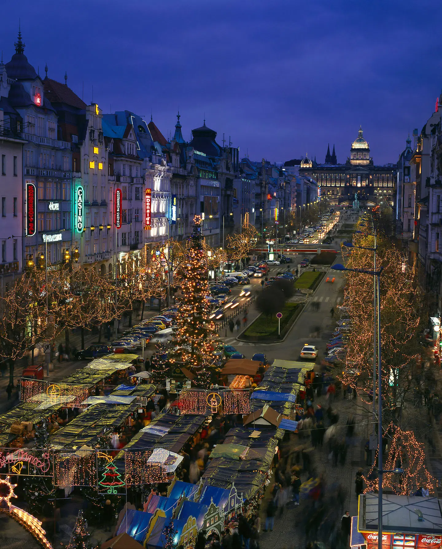 Ambassador Zlata Husa LANDSCAPE