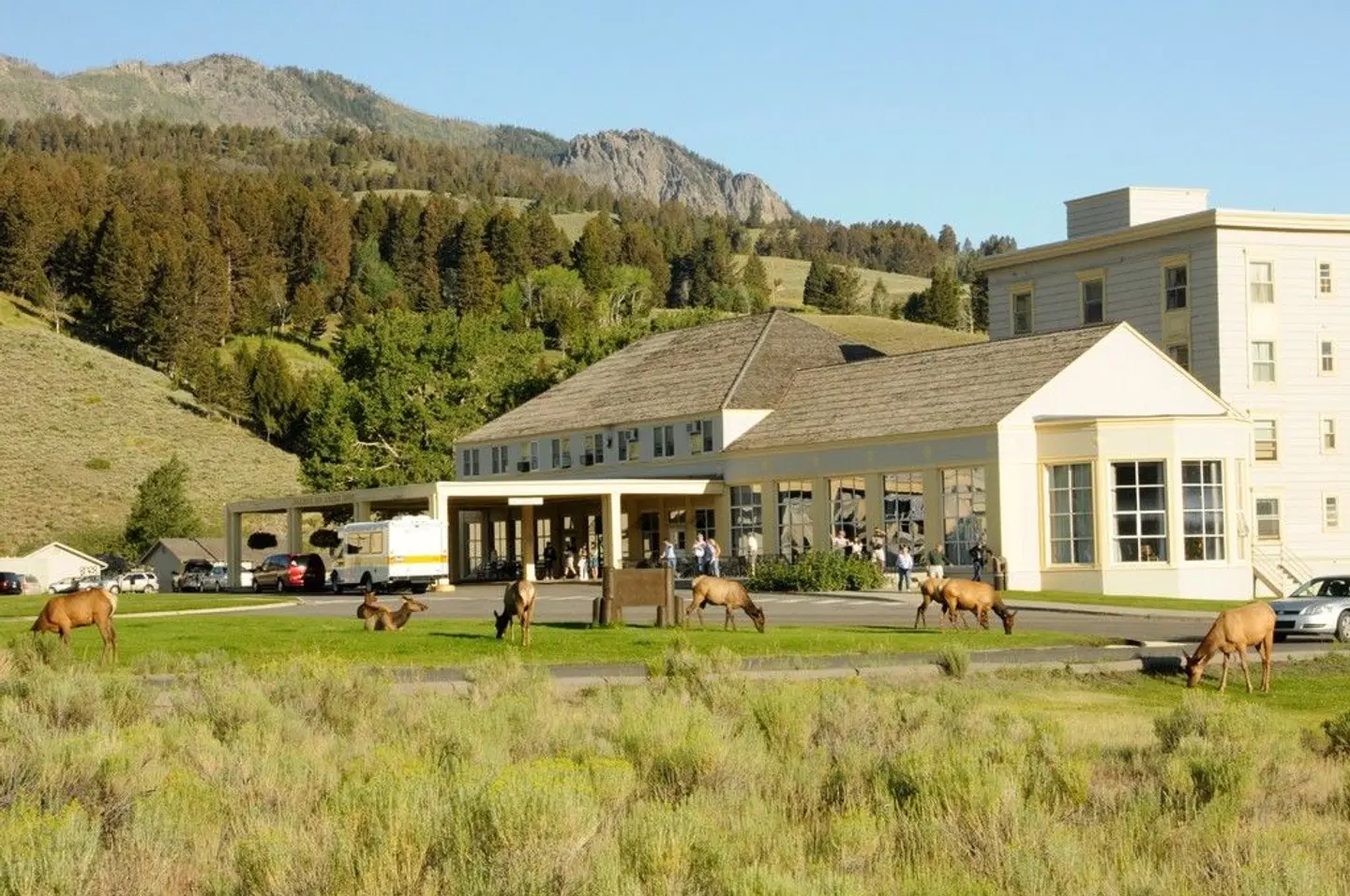 Mammoth Hot Springs Hotel & Cabins EXTERIOR