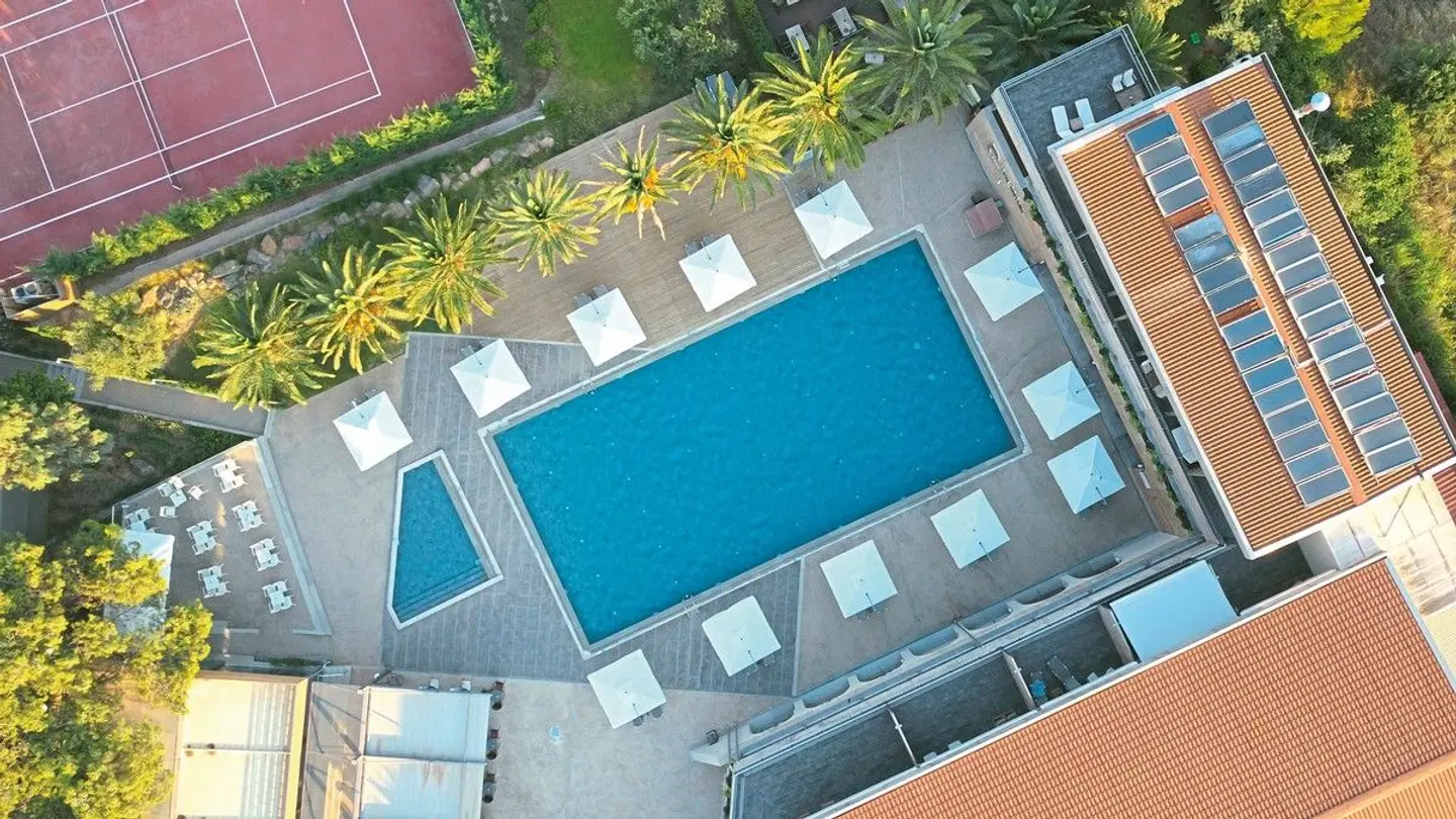 Blue Dolphin MODEL_IMPRESSION