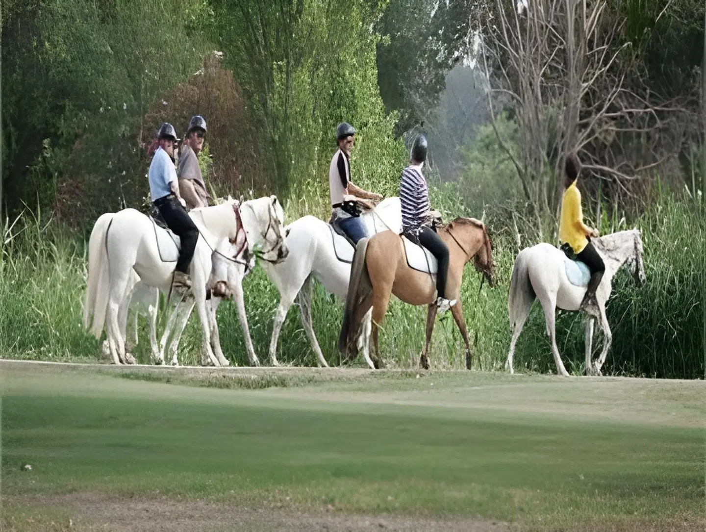 SOWELL Hotels L'Olivier Tiere