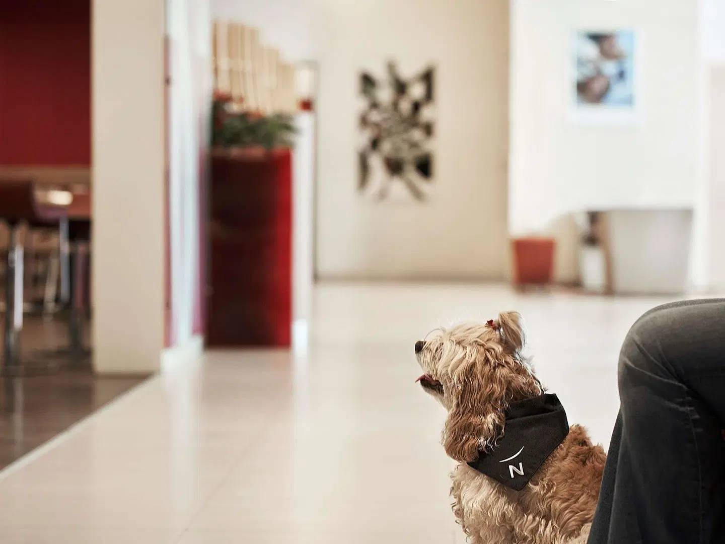 Novotel Athenes ROOM_EXAMPLE