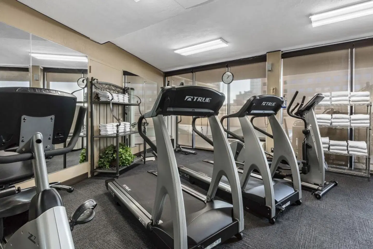 Comfort Inn Downtown Memphis SPORTS_AND_LEISURE