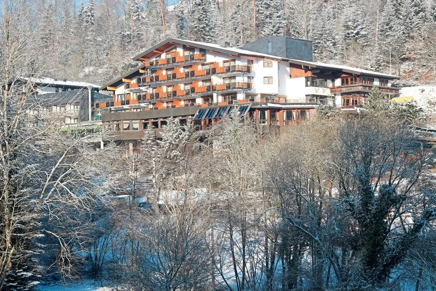 Ringhotel Mönchs Waldhotel Tiere