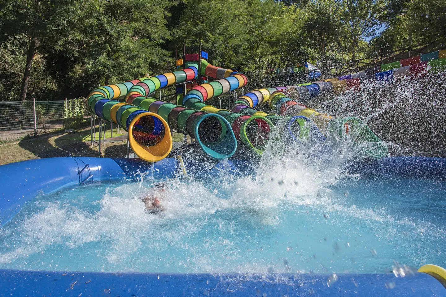 Centro Vacanze Mirage Tiere