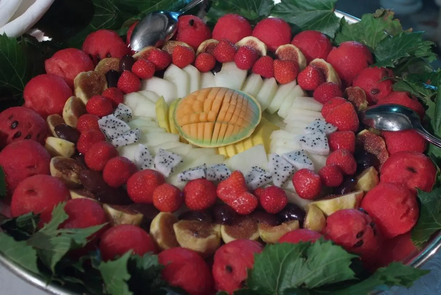 Sierra Silvana Tiere