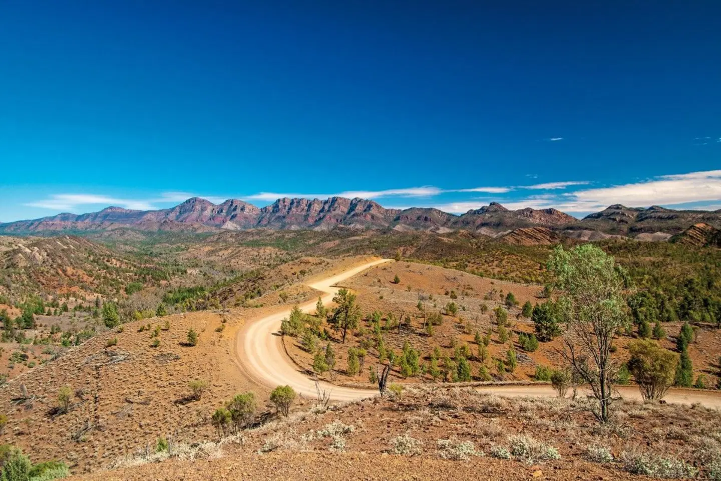Explorers Way LANDSCAPE