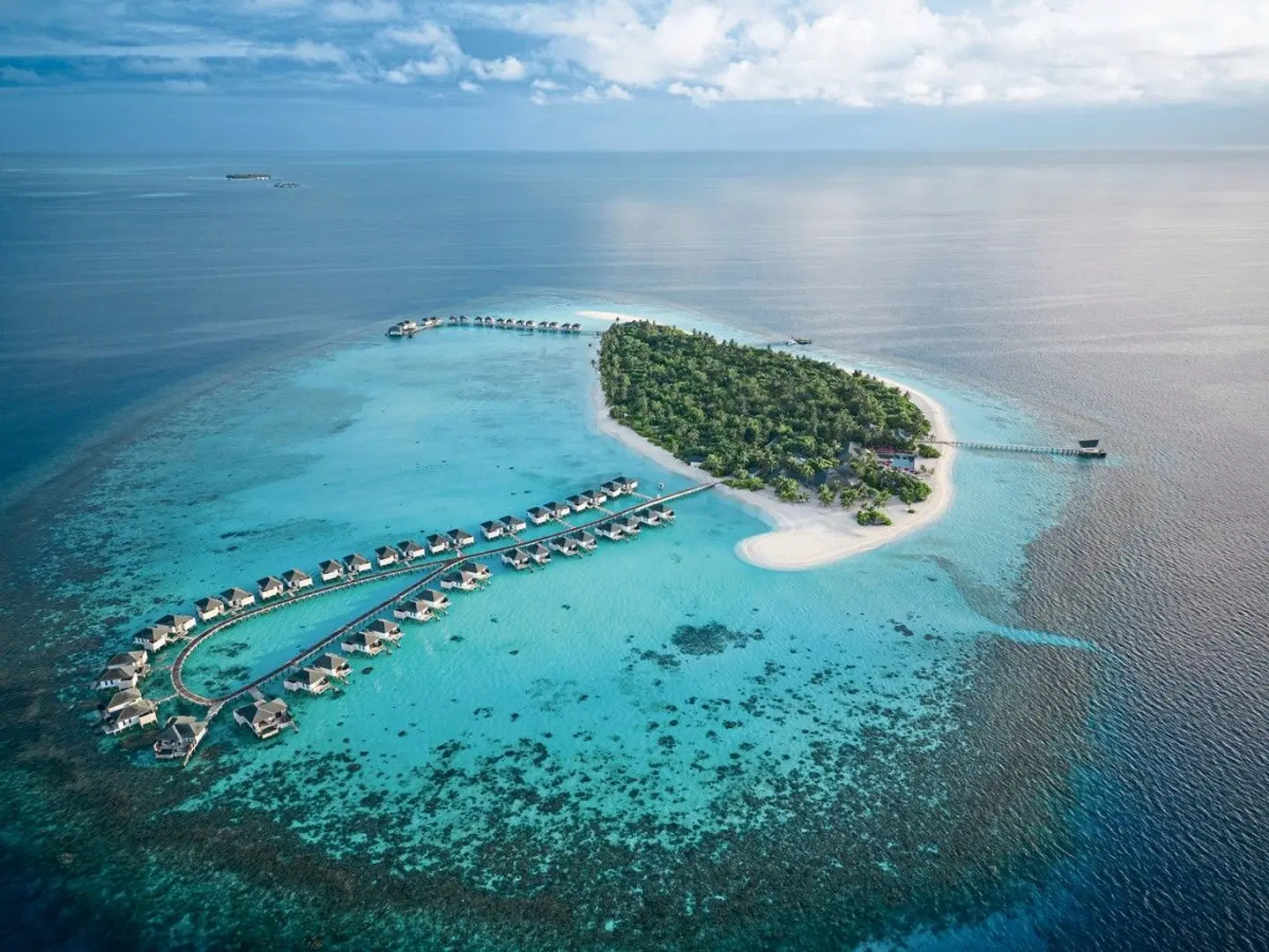 NH Collection Maldives Havodda Resort Tiere