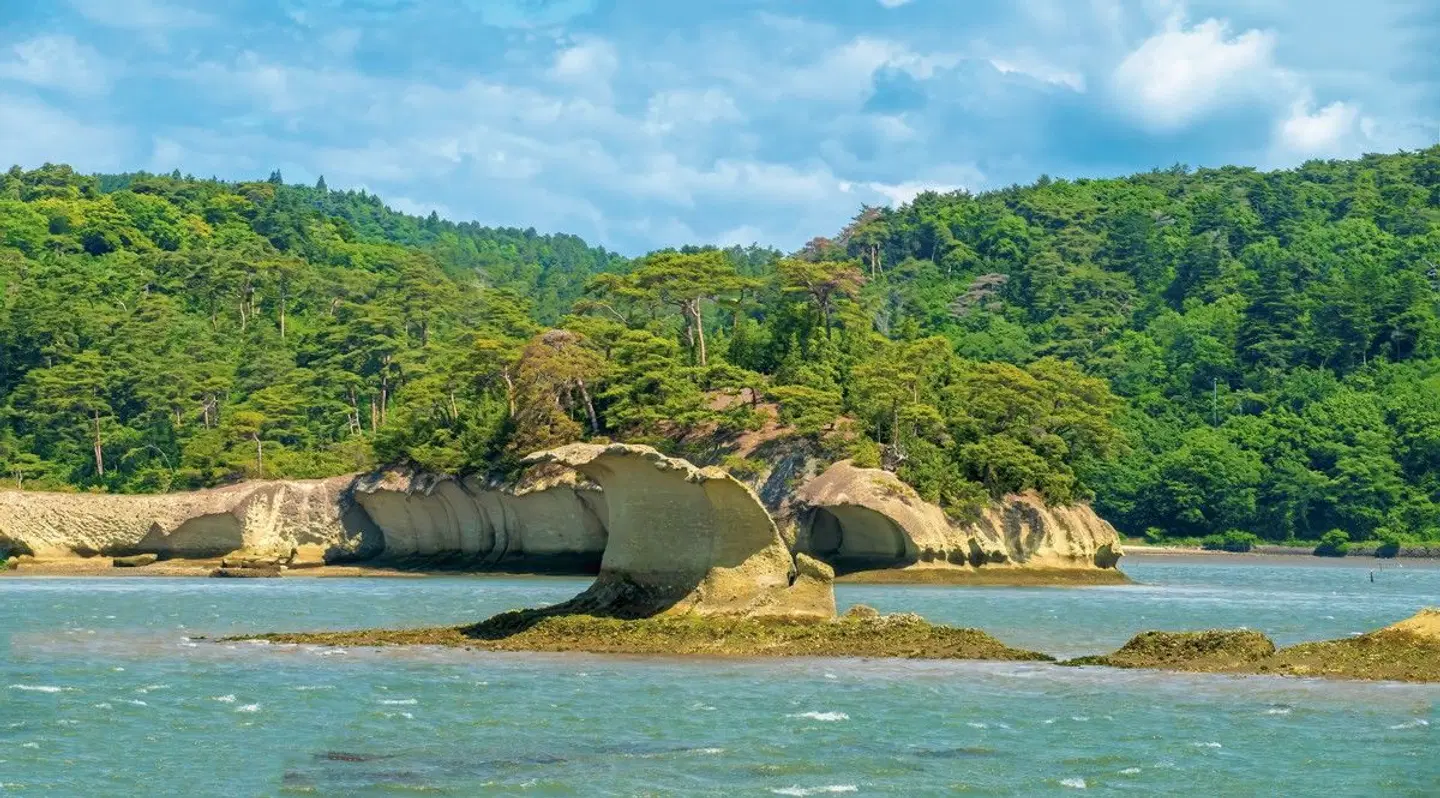 Japans Natur und Kultur (inkl. Flug) Tiere