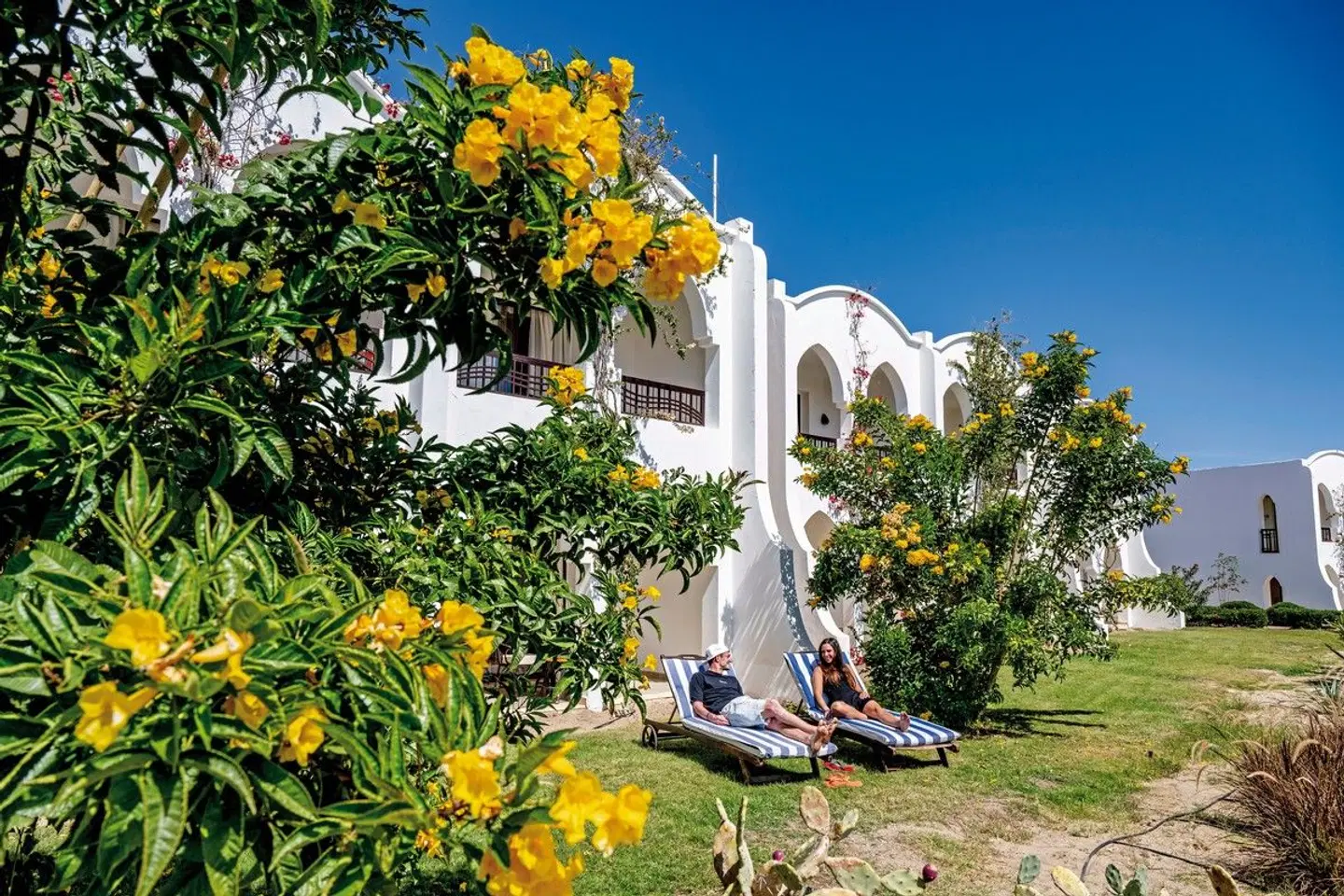 Gorgonia Beach Resort Garten